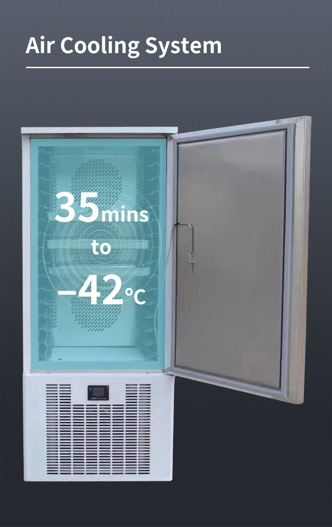 Θαλασσινά Cold Room Blast Chiller Freezer 5 10 15 Trays Freezer Freezer Blast Cabinet 6